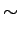 $\displaystyle \sim$