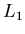 $L_{1}$